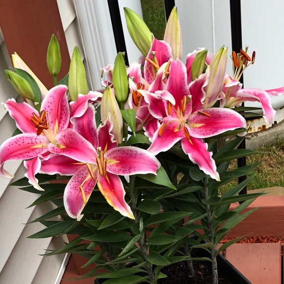 Meet your Posher, B - Picture 1 of 1